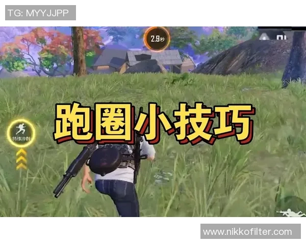 esports数据和平精英新手玩家必看比赛经验与技巧全面入门指南